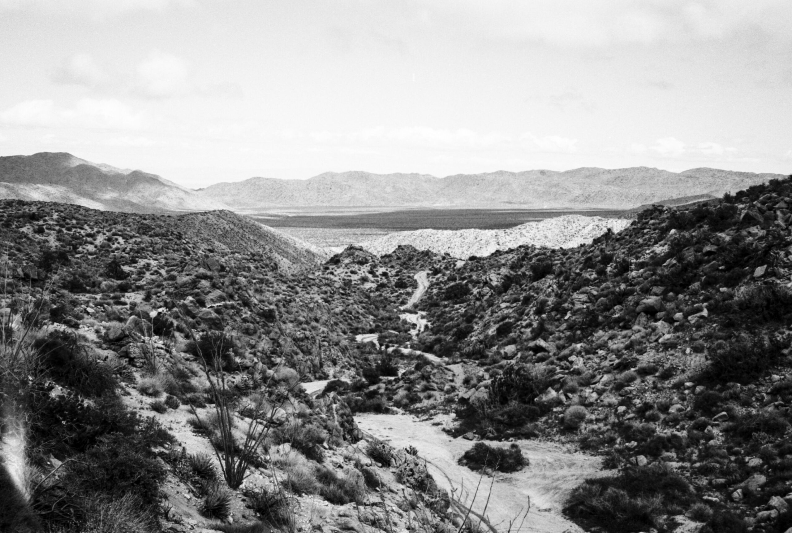 Desert Solitude: The Anza-Borrego backcountry 60 miler